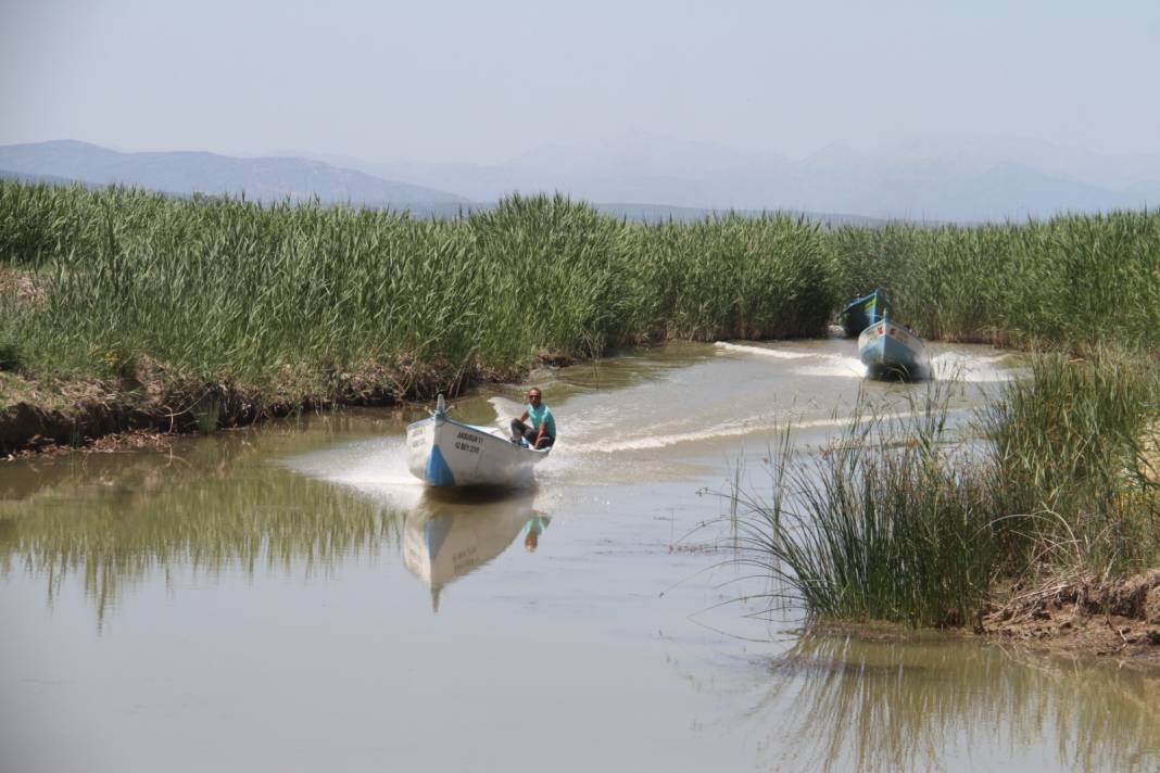 Sezon açıldı, Konya’da avcıların yüzü gülüyor 1
